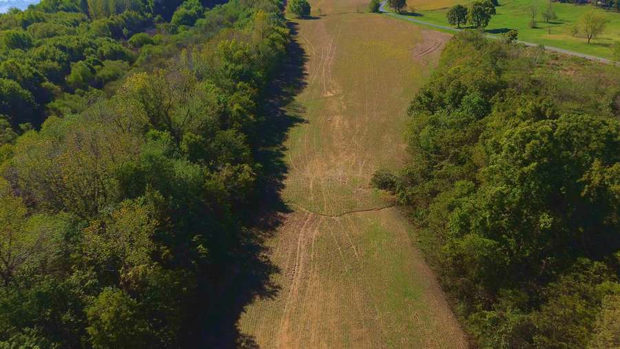 Still 2025-11-17 100017_1.61.11.jpeg